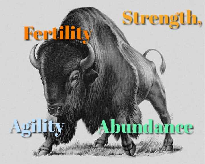 Dream of buffalo attacking meaning