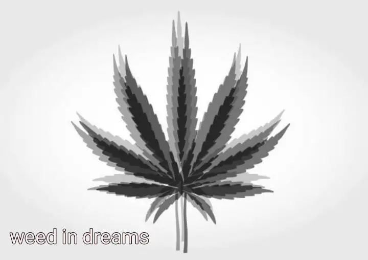 What does it mean when you dream about weed