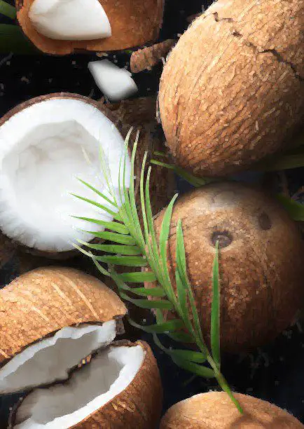  Spiritual meaning of Coconut in the dream