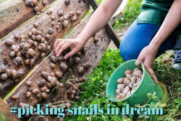 Biblical meaning of picking snails in the dream