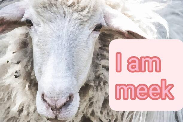 Biblical meaning of white sheep in dream