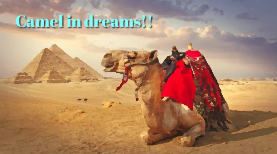 Biblical meaning of camel in dream