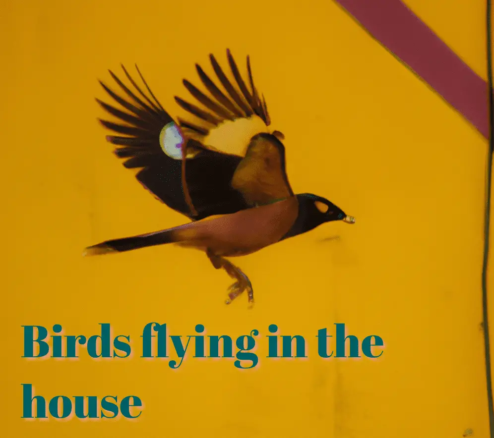Biblical meaning of a bird flying in your house