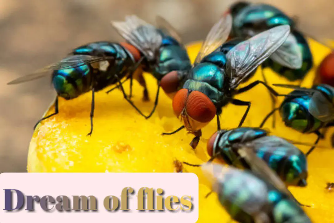 Spiritual meaning of seeing flies in a dream
